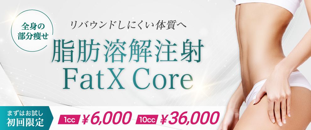 リバウンドしにくい体質へ 脂肪溶解注射 FatX Core