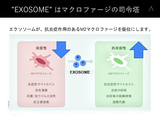 EXOSOMEはマクロファージの司令塔