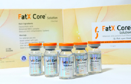 Fat X coreとは?