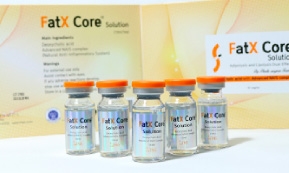 FatX core